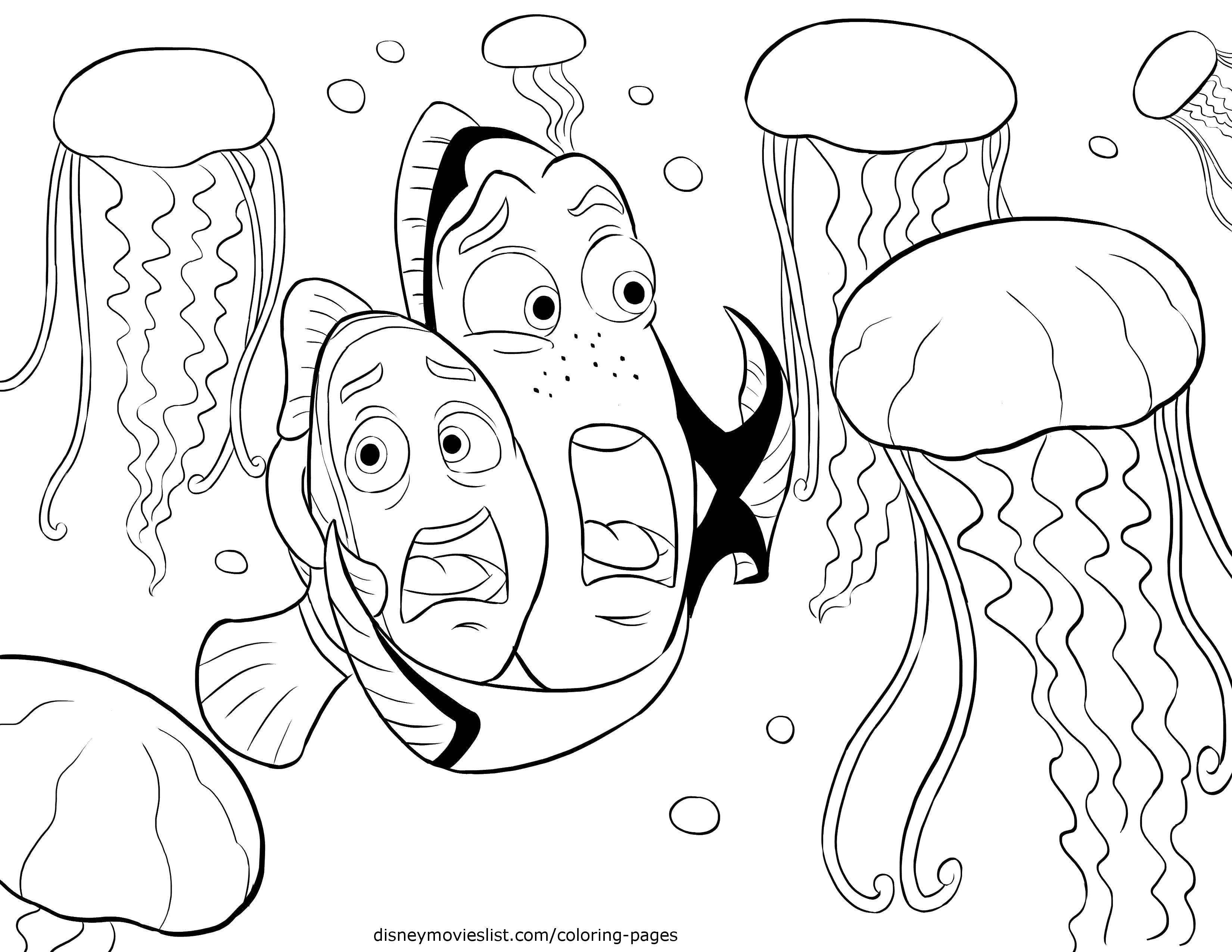 Название: Раскраска Испуганные рыбки. Категория: Морские обитатели. Теги: Подводный мир, рыба.