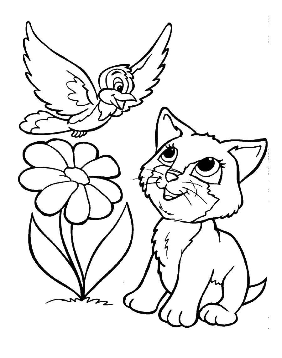 Название: Раскраска Кошечка смотрит на птичку. Категория: Коты и котята. Теги: коты, кошки, котенок, птичка.