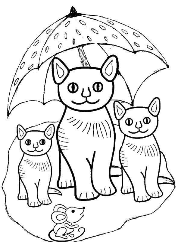Название: Раскраска Кошечки и мышка. Категория: Коты и котята. Теги: животные, кошка, котенок.