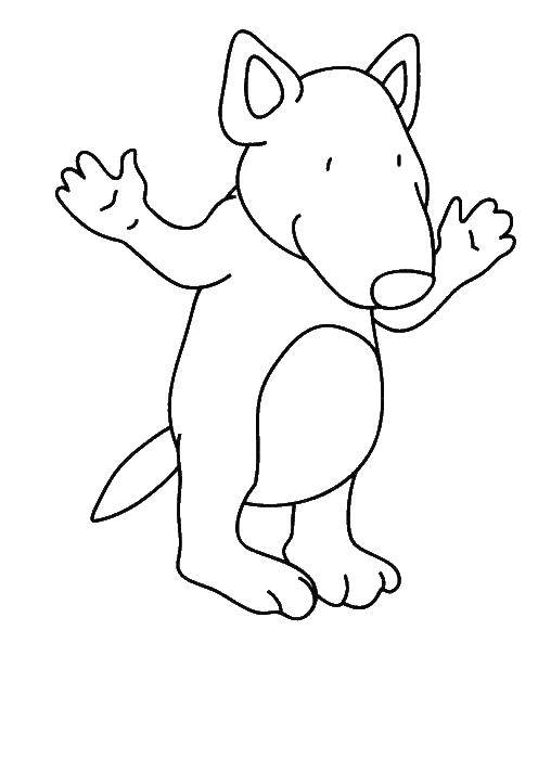Coloring Forest wolf. Category Coloring pages for kids. Tags:  Animals, wolf.