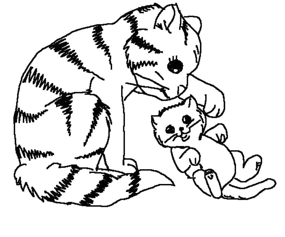 Название: Раскраска Мама играет с малышом. Категория: Коты и котята. Теги: Животные, котёнок.
