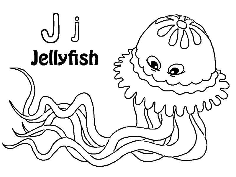 Coloring Medusa m. Category Sea animals. Tags:  Underwater world, jellyfish.