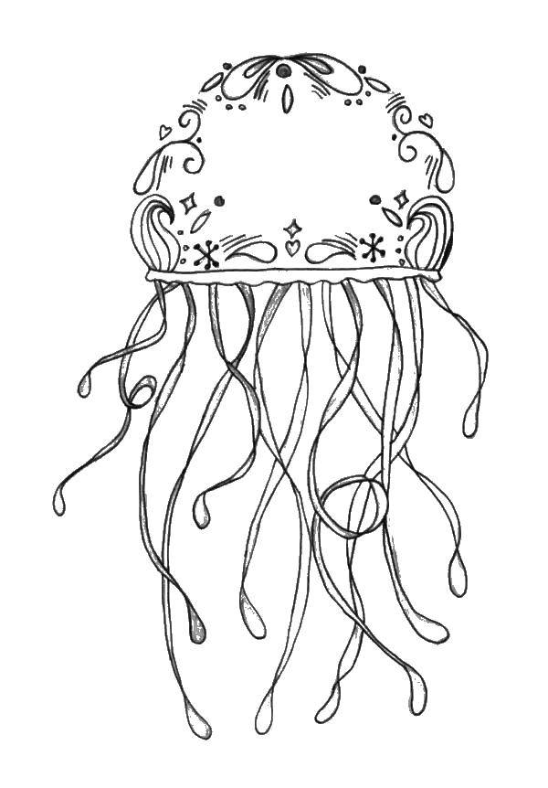Название: Раскраска Медуза с узорами.. Категория: Морские обитатели. Теги: Подводный мир, медуза.