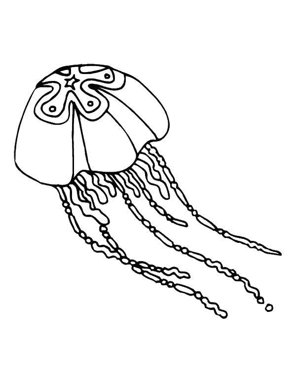 Coloring Jellyfish under water. Category Sea animals. Tags:  Underwater world, jellyfish.