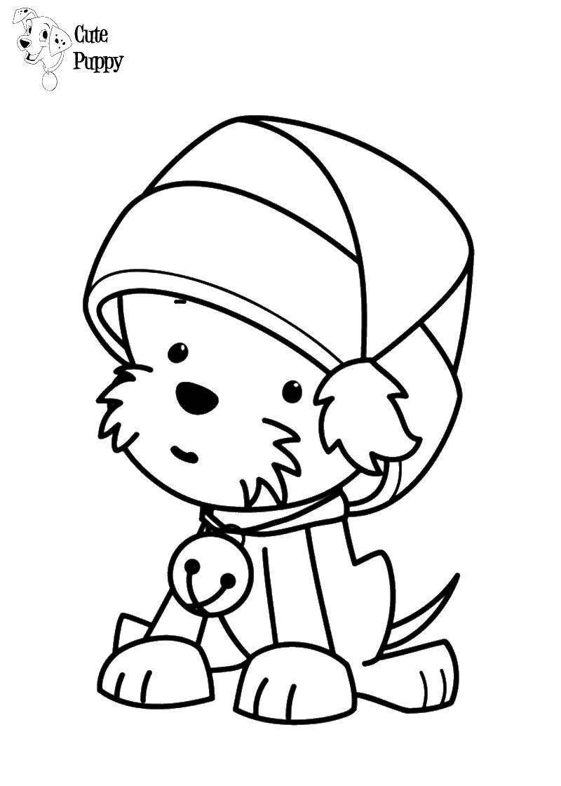 Coloring Cute puppy in hat. Category Pets allowed. Tags:  animals, dog, puppy, dog.