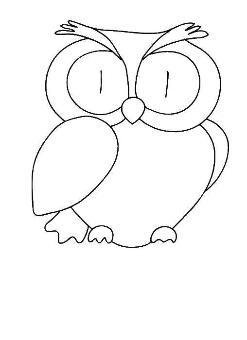 Coloring Wise owl. Category Coloring pages for kids. Tags:  Birds, owl.