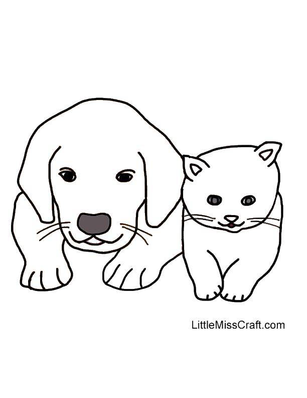 Coloring Observant kids. Category Animals. Tags:  Animals, dog, cat.