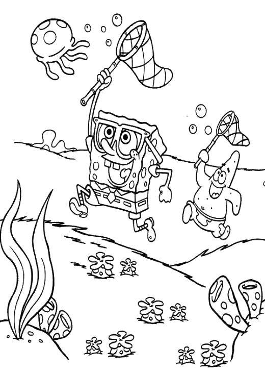 Название: Раскраска Охотники на медуз. Категория: Персонаж из мультфильма. Теги: Персонаж из мультфильма, Спанч Боб, Губка Боб, Патрик.