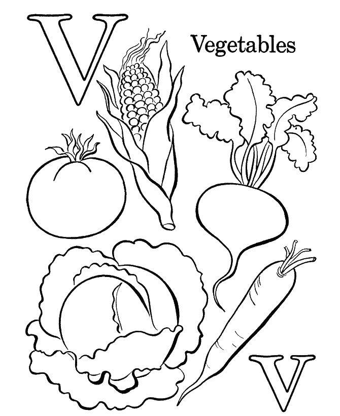 Название: Раскраска Овощи. Категория: овощи. Теги: овощи, еда, продукты.