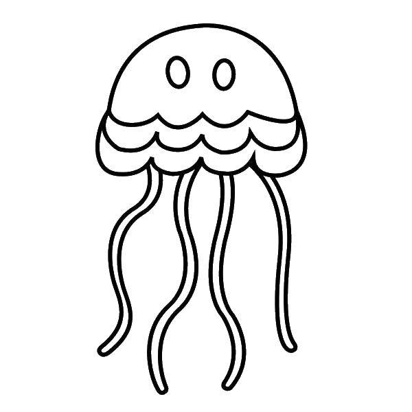 Coloring Simple jellyfish.. Category Sea animals. Tags:  Underwater world, jellyfish.