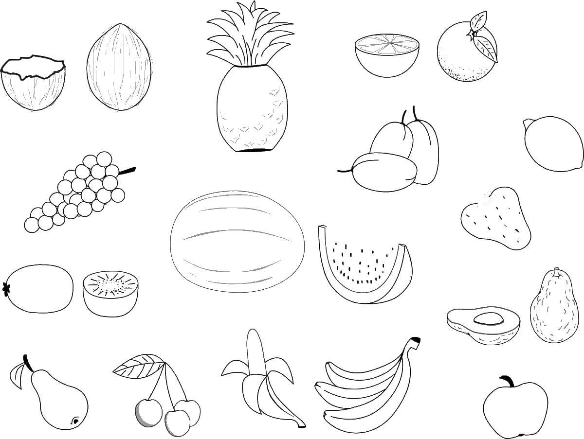 Название: Раскраска Разные фрукты и ягоды. Категория: Еда. Теги: еда, фрукты, ягоды.
