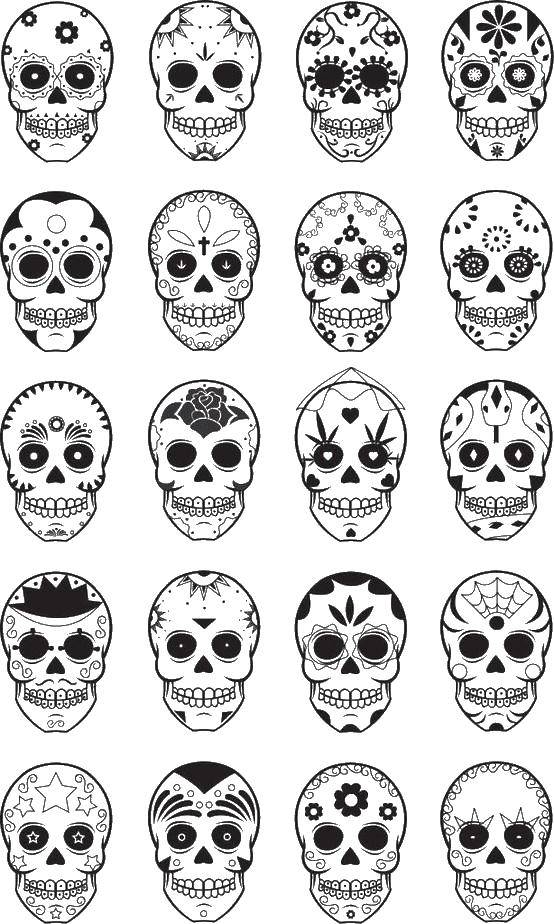 Coloring Different painted skulls. Category Skull. Tags:  turtle, patterns, anti-stress.