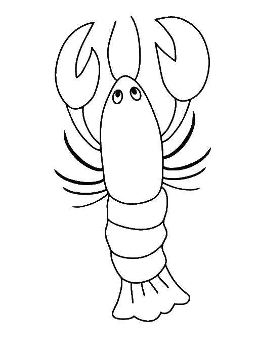 Coloring Crayfish. Category Coloring pages for kids. Tags:  Underwater world, cancer.
