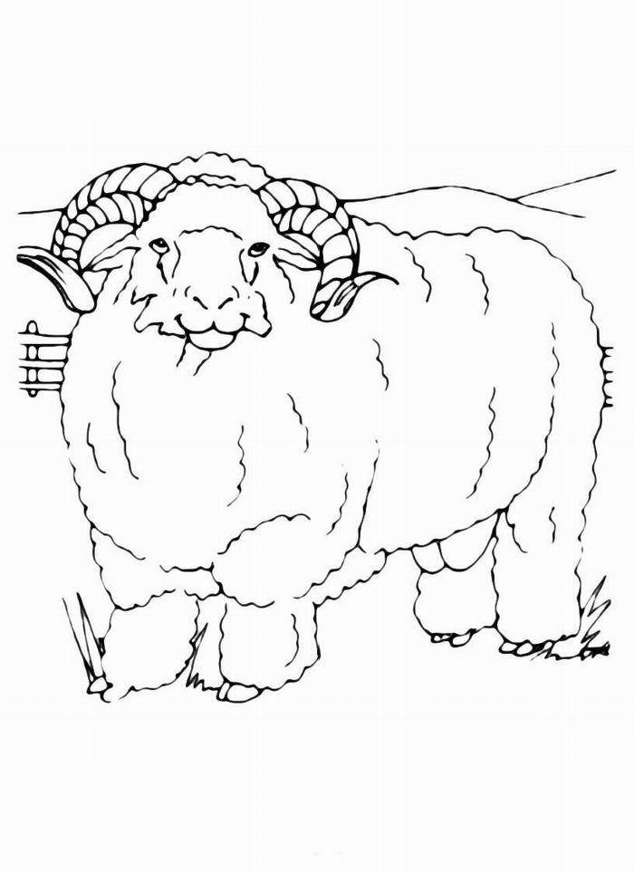 Coloring The figure of a RAM. Category Pets allowed. Tags:  RAM.