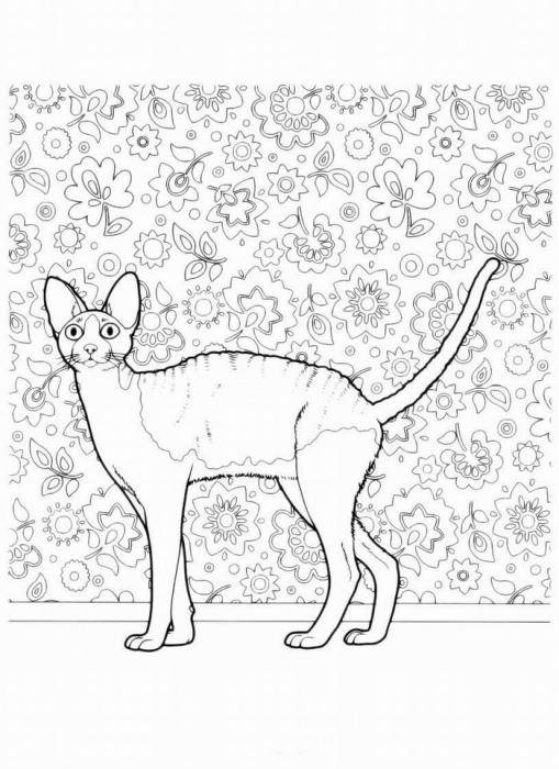 Название: Раскраска Рисунок египетской кошки мау. Категория: домашние животные. Теги: кошка, кот.