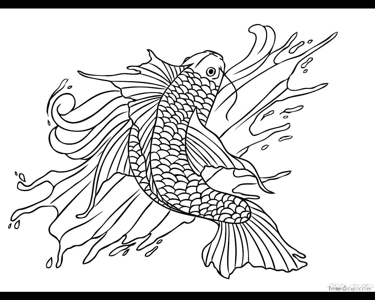 Coloring Fish and water. Category fish. Tags:  fish, water.