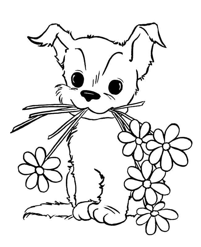Название: Раскраска Щеночек с цветочками. Категория: домашние животные. Теги: животные, собака, щенок, пес, цветочки.