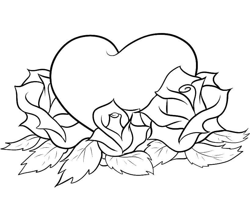 Название: Раскраска Сердечко в розах. Категория: Я тебя люблю. Теги: сердечки, любовь, розочки.