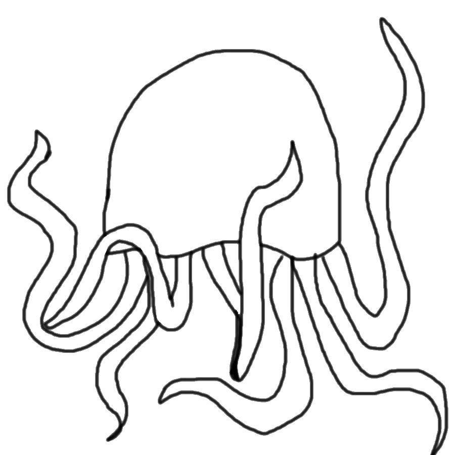 Coloring The tentacle. Category Sea animals. Tags:  Underwater world, jellyfish.