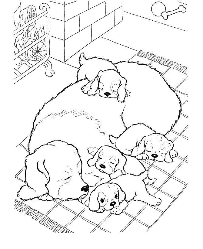 Название: Раскраска Собачка и щенята спят. Категория: домашние животные. Теги: животные, собака, щенок, пес.