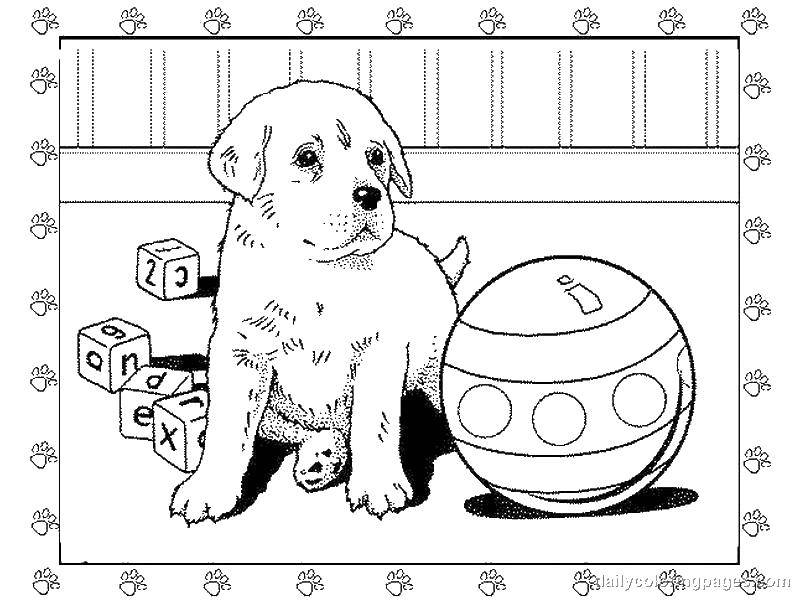 Название: Раскраска Собачка с игрушками. Категория: домашние животные. Теги: животные, собака, щенок, пес.