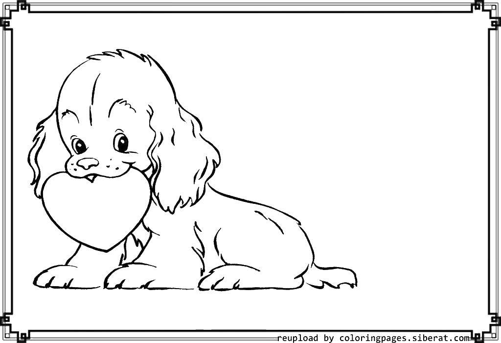 Название: Раскраска Собачка с сердечком. Категория: домашние животные. Теги: собаки, собака, песики, животные.