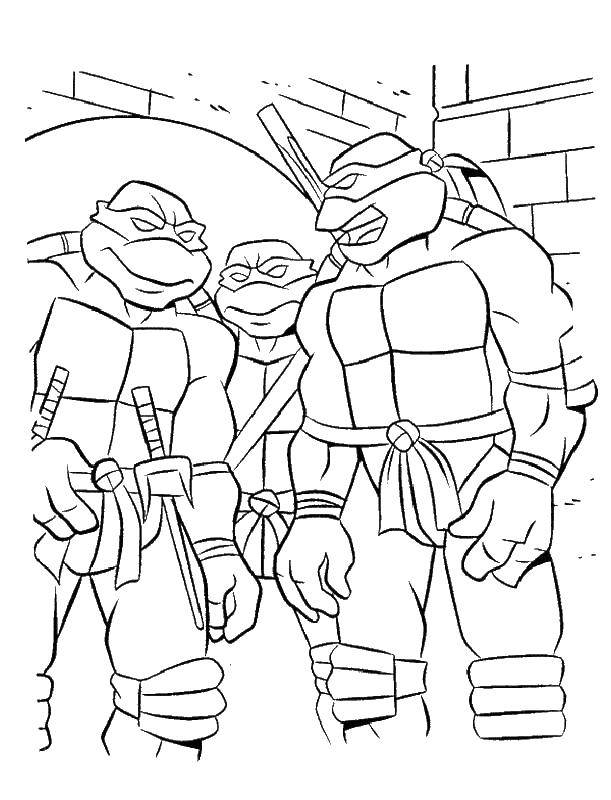 Coloring Three teenage mutant ninja turtles.. Category teenage mutant ninja turtles. Tags:  cartoon ninja turtles.