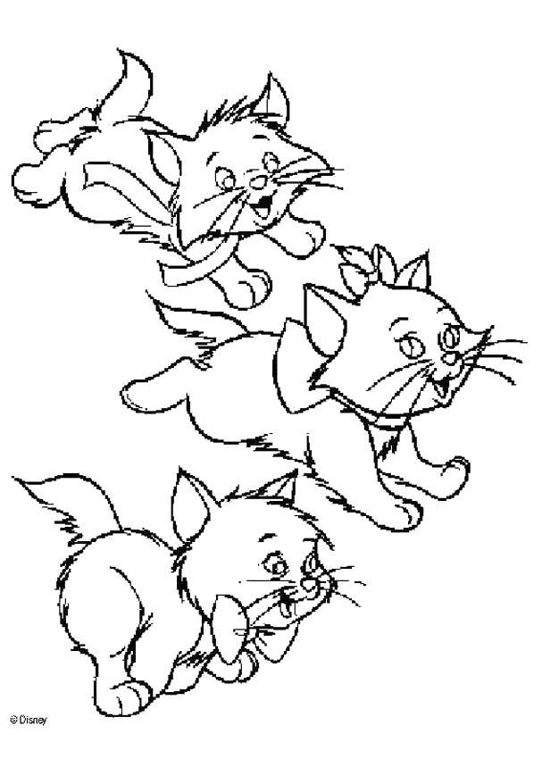 Название: Раскраска Три кошечки. Категория: Коты и котята. Теги: кошечки, коты, котята.