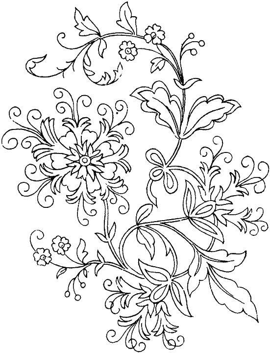 Coloring Floral pattern. Category patterns. Tags:  floral pattern , flowers.