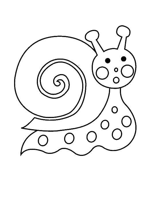 Coloring Surprised snail. Category Coloring pages for kids. Tags:  Snail.