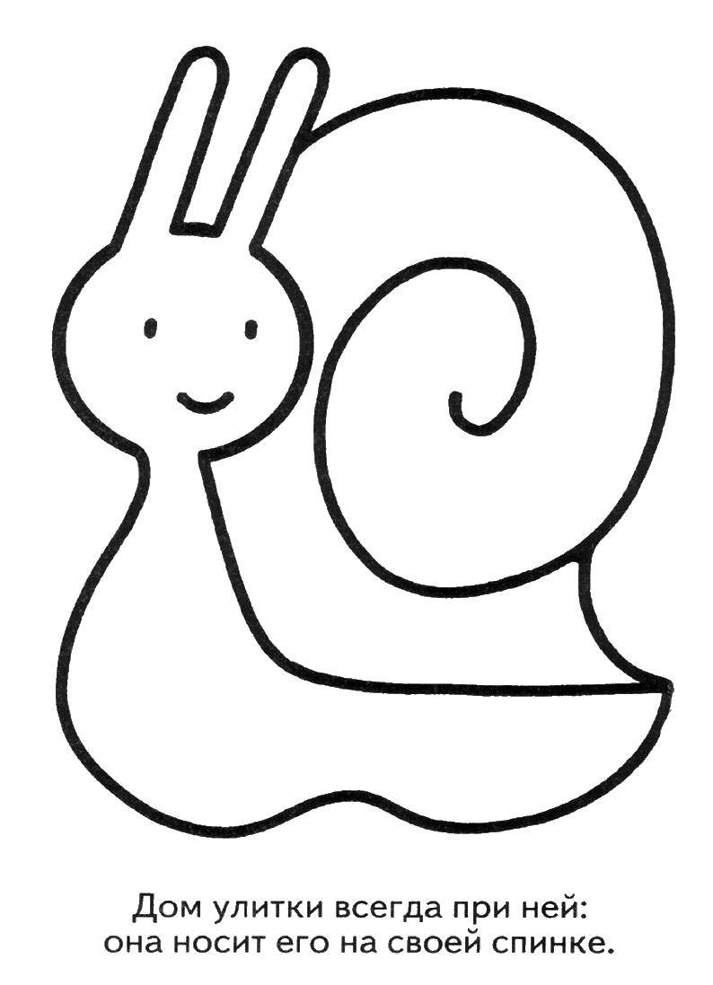 Coloring Snail. Category Coloring pages for kids. Tags:  snail, house, flower.