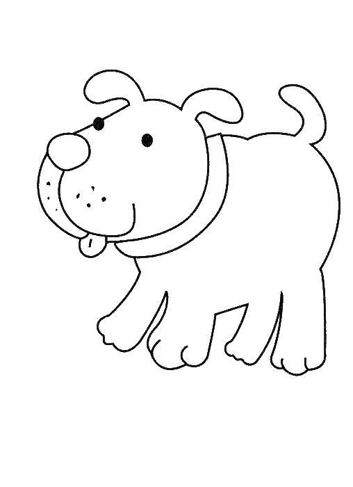 Coloring Funny puppy stuck out his tongue. Category Coloring pages for kids. Tags:  Animals, dog.