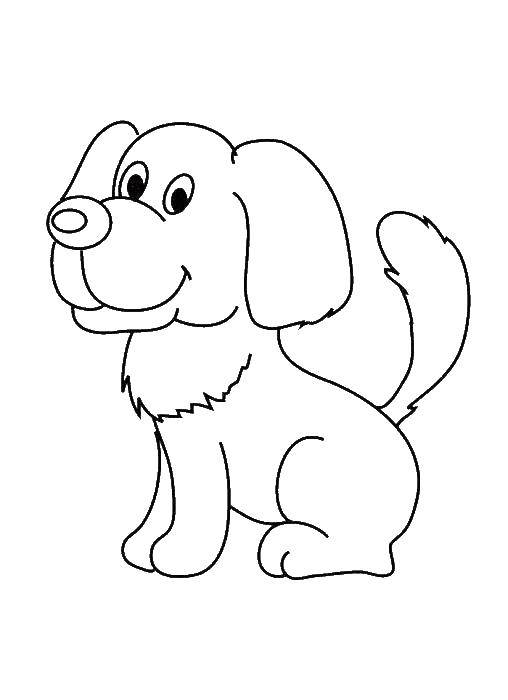 Название: Раскраска Веселый верный пёс. Категория: Раскраски для малышей. Теги: Животные, собака.