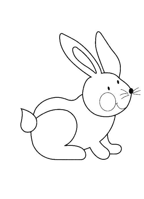 Название: Раскраска Веселый зайчонок. Категория: Раскраски для малышей. Теги: Животные, зайчик.