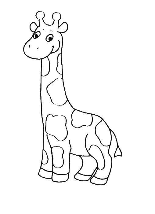 Название: Раскраска Веселый жирафик. Категория: Раскраски для малышей. Теги: Животные, жираф.