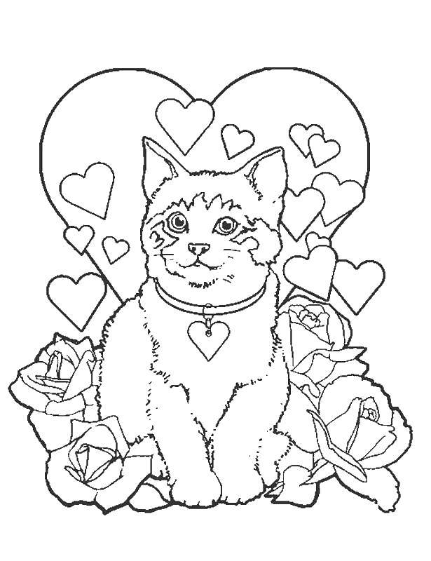 Название: Раскраска Влюбленная киса. Категория: Коты и котята. Теги: Животные, котёнок.