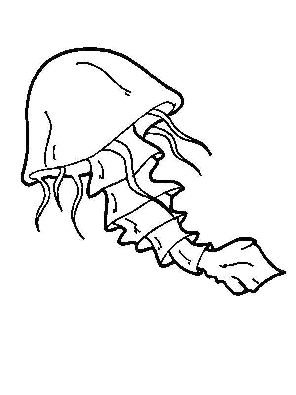 Coloring Spooky jellyfish. Category Sea animals. Tags:  Underwater world, jellyfish.