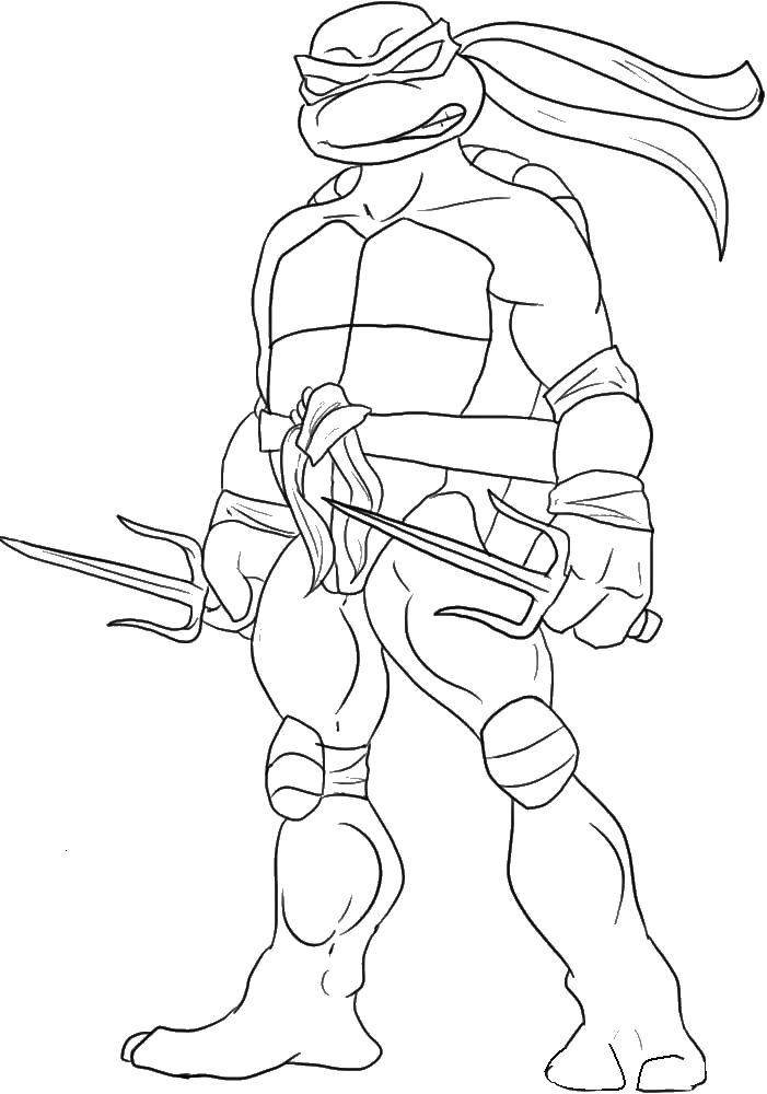 Coloring Angry Rafael. Category teenage mutant ninja turtles. Tags:  cartoons, ninja turtles, Raphael.