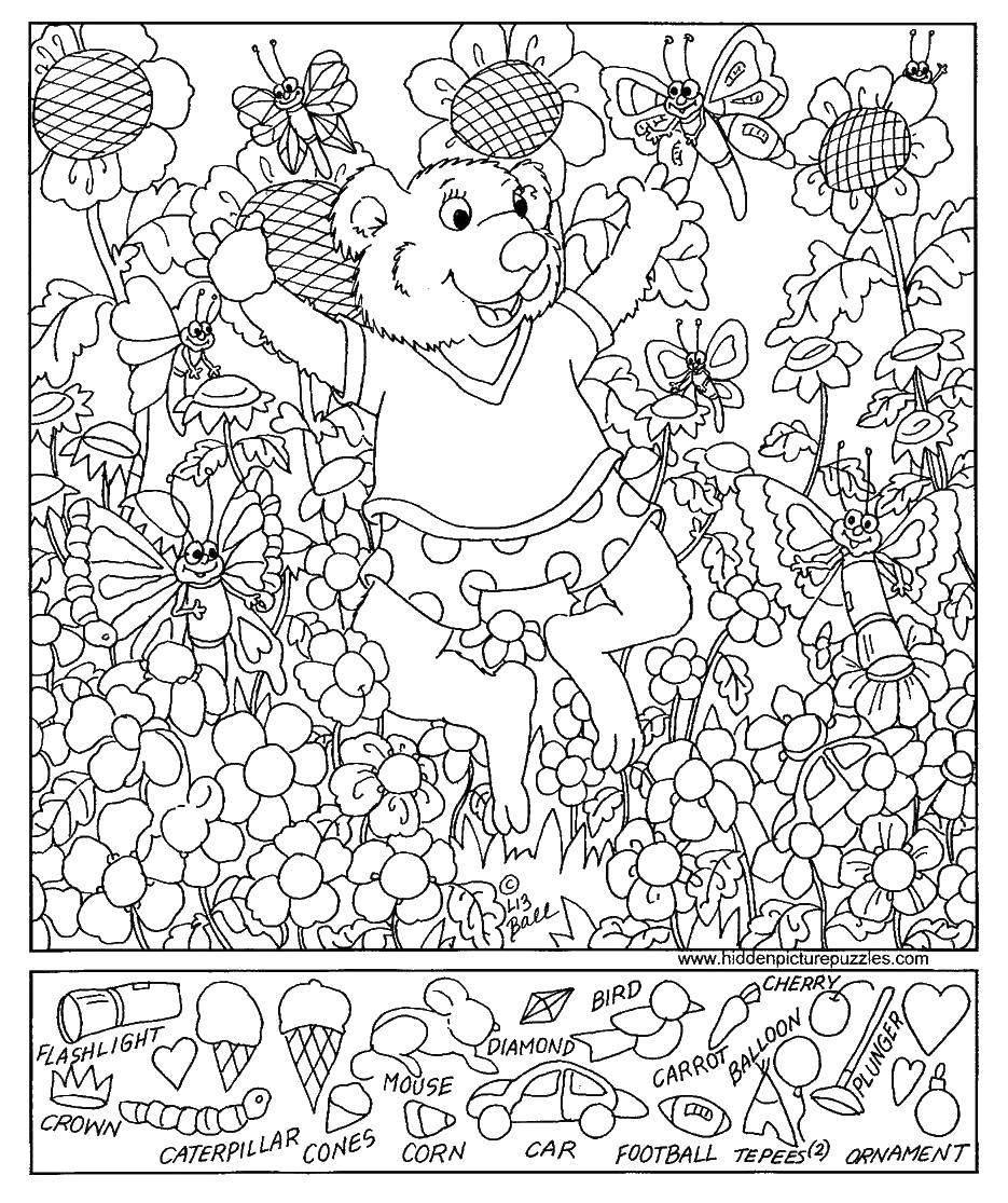 Розмальовки  Мендведь в саду. Завантажити розмальовку ведмідь, сад.  Роздрукувати ,Знайди що заховано,