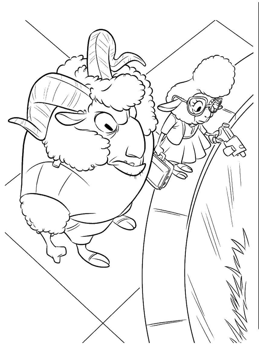 Coloring Lambs. Category Zeropolis. Tags:  cartoons, Zeropolis, the characters, the town.