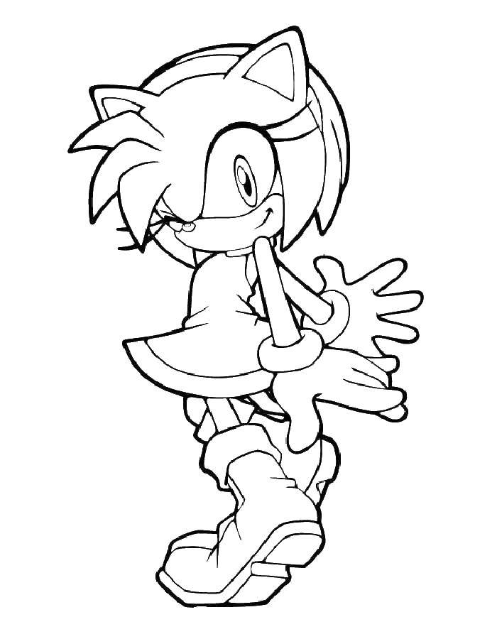 Coloring Amy rose. Category coloring pages sonic. Tags:  Sonic X cartoon, sonic, Amy rose.