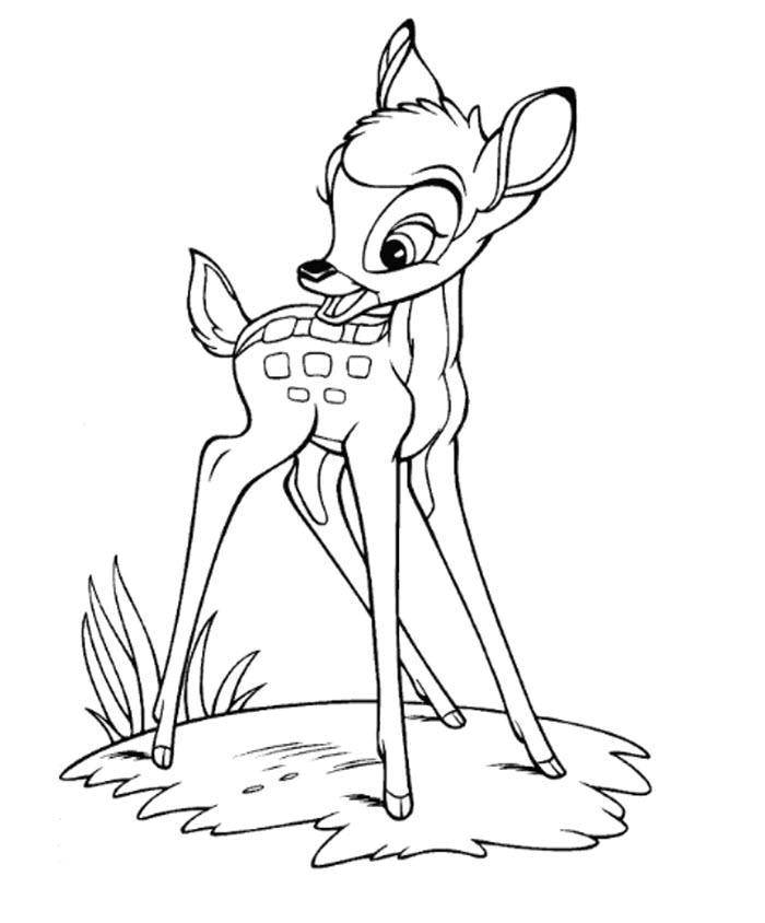 Coloring The deer from snow white . Category Disney cartoons. Tags:  Disney, Snow white, deer.