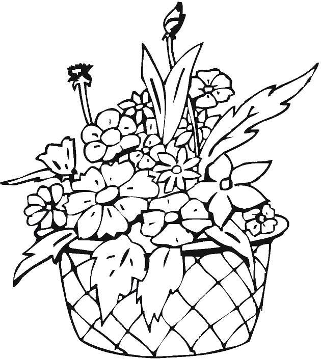 Название: Раскраска Полевые цветы в корзине. Категория: цветы. Теги: корзинка, ваза, цветы.