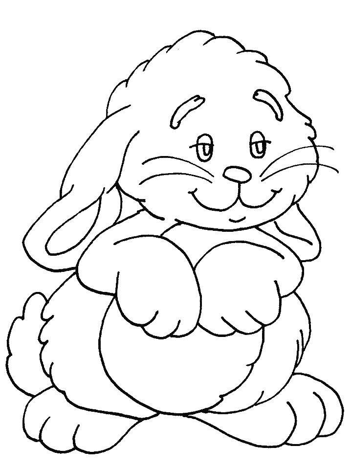 Название: Раскраска Пушистый зайчик с длинными ушками. Категория: животные. Теги: заяц, кролик.