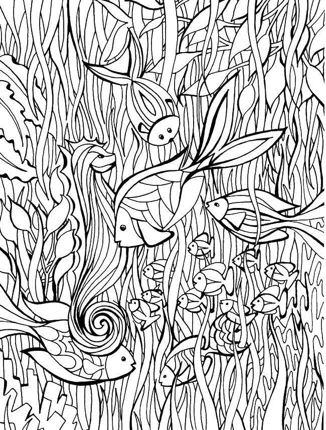 Coloring Fish in odraslih. Category Bathroom with shower. Tags:  fish, ocean.