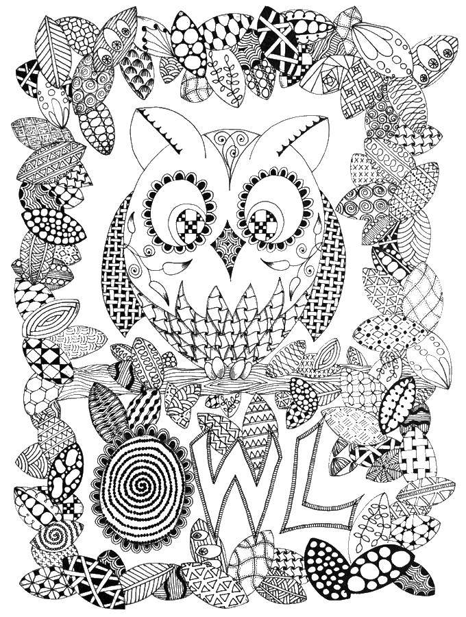 Coloring Owl and leaves. Category coloring. Tags:  owls, birds, leaves.