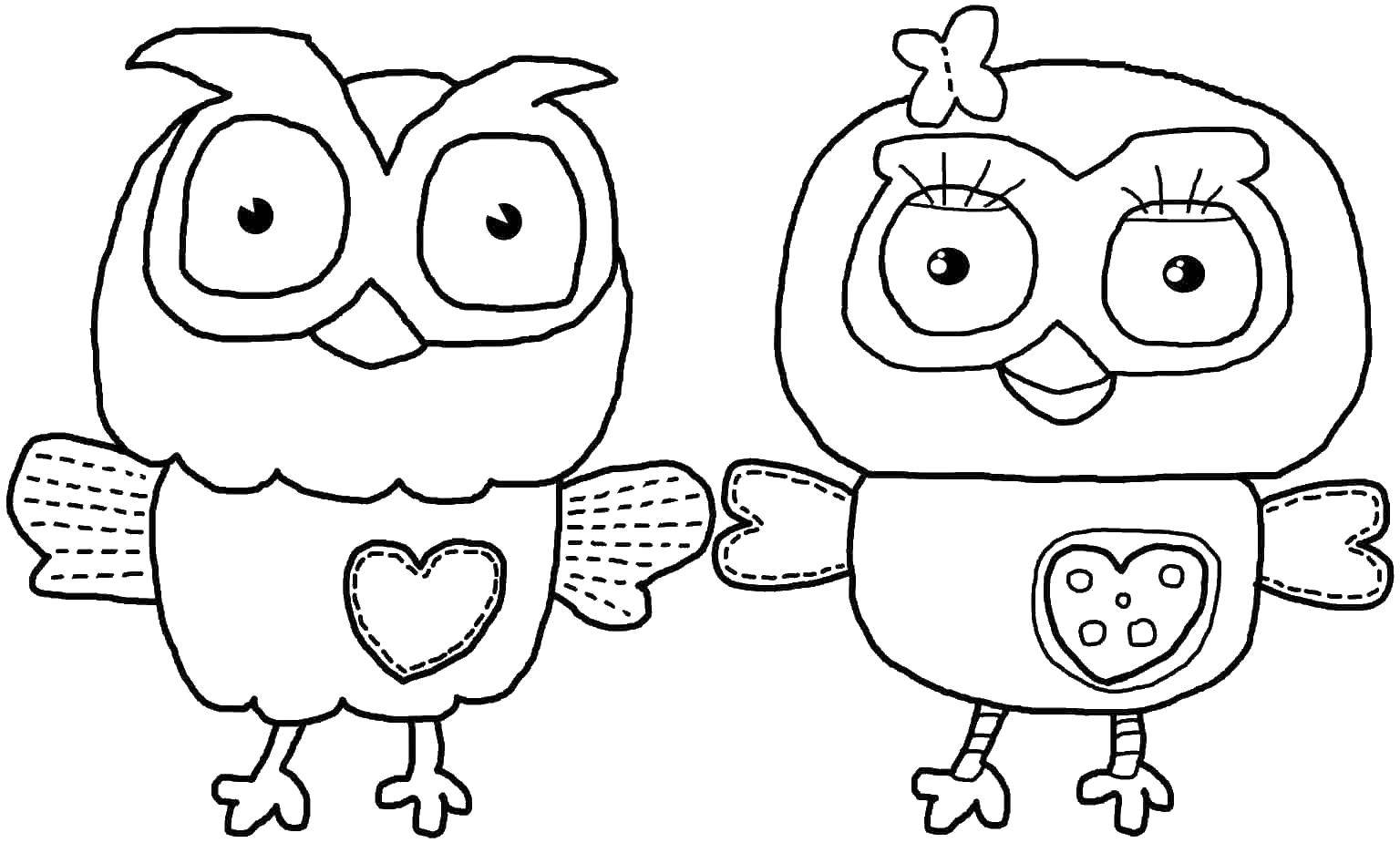 Coloring Sovochki with a heart. Category night birds. Tags:  birds, owl.