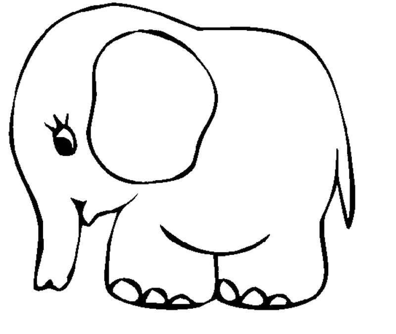 Название: Раскраска Стеснительный слонёнок. Категория: Раскраски для малышей. Теги: Животные, слоненок.