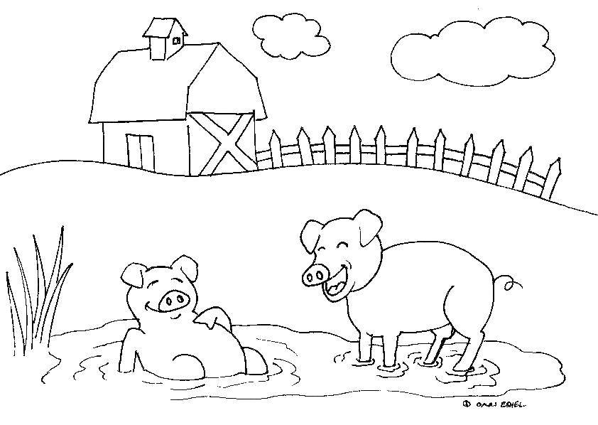 Название: Раскраска Свиньи лежат в луже. Категория: животные. Теги: свиньи, животные.