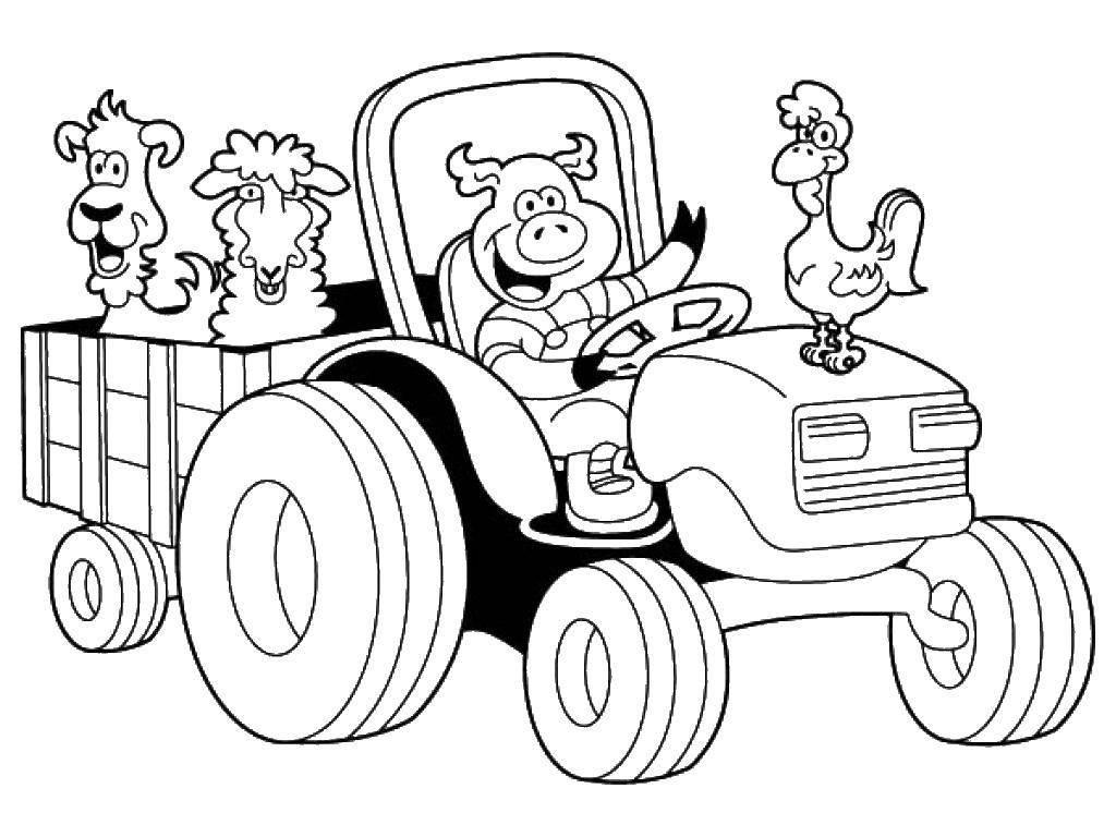 Coloring Pig tractor. Category animals. Tags:  Animals, pig.